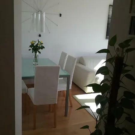 Sunny And Cozy سبليت
